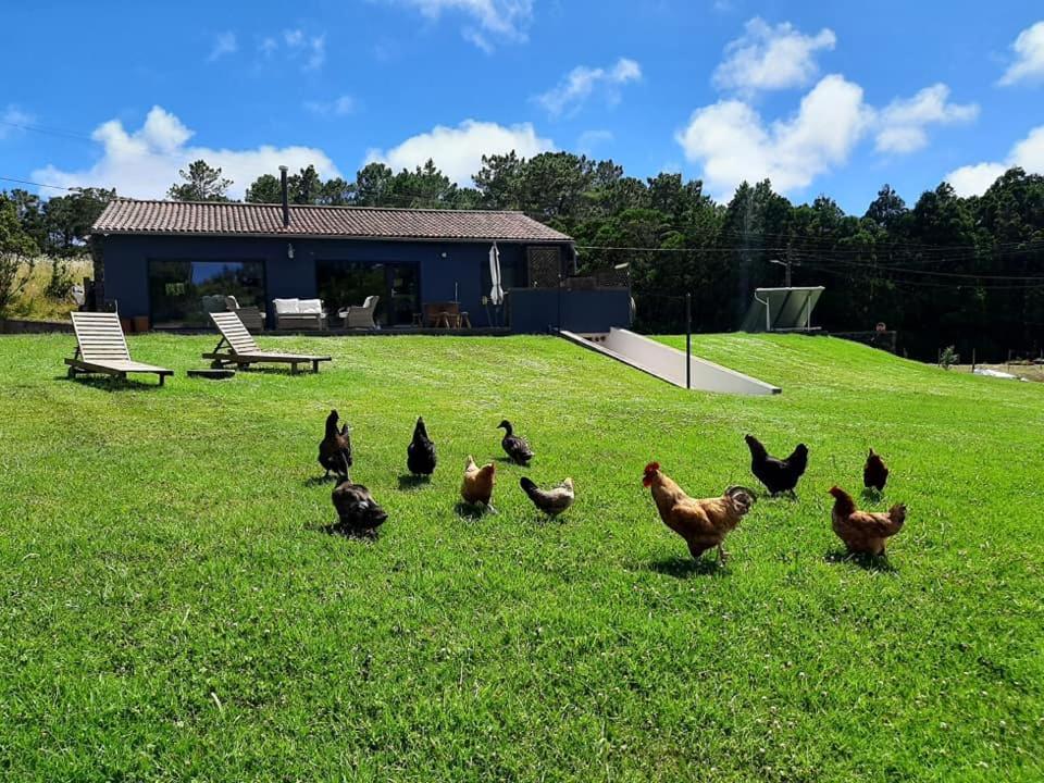 Quinta De Sao Jose Villa Sao Pedro  Exterior photo